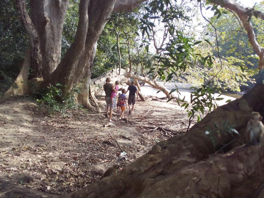 Lavendra Villa Mirissa Dış mekan fotoğraf