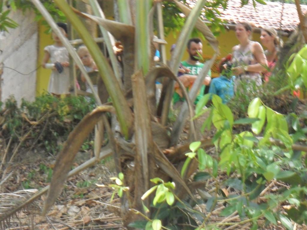 Lavendra Villa Mirissa Dış mekan fotoğraf